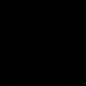 Meet your Posher, Ava